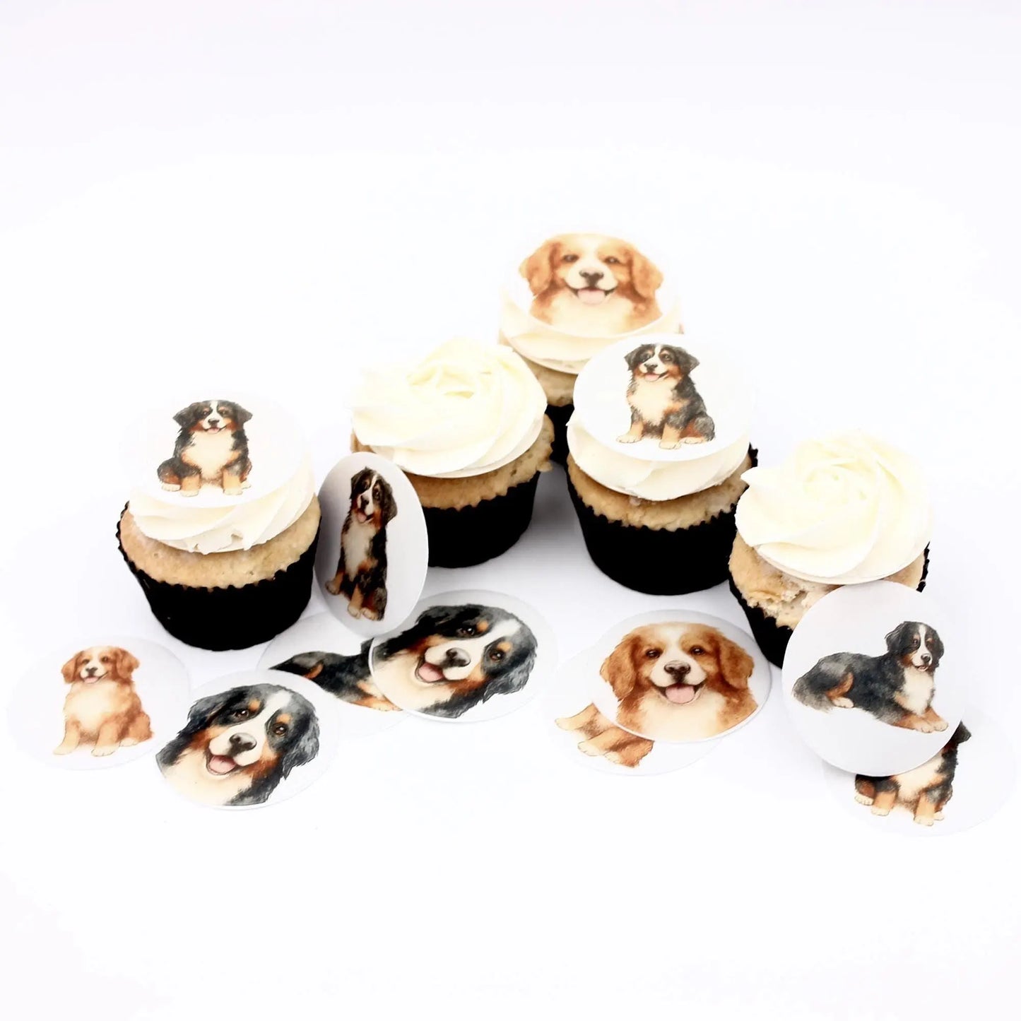Bernese Mountain Dog Cupcake Toppers (12)