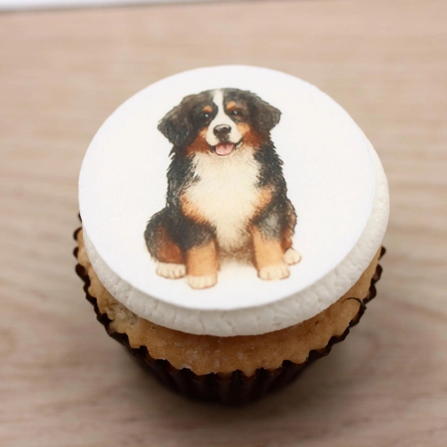 Bernese Mountain Dog Cupcake Toppers (12)