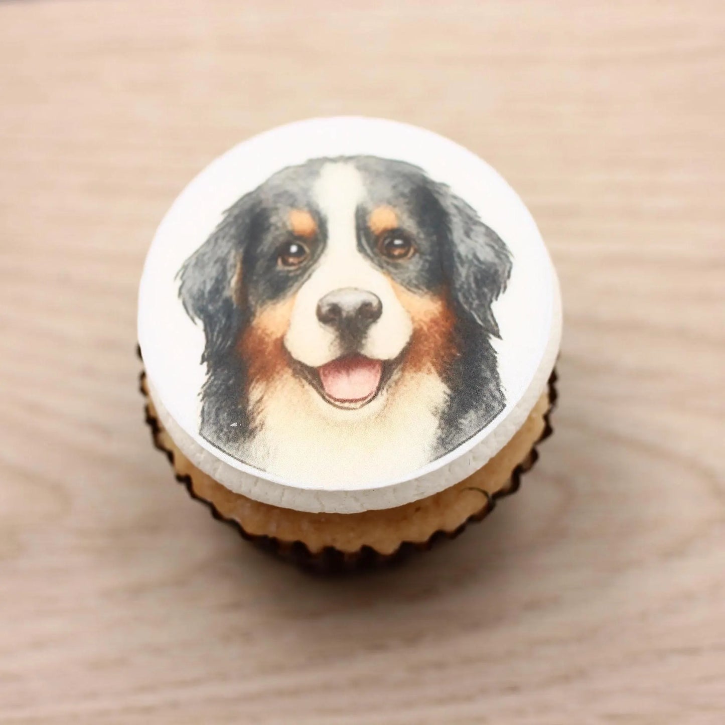 Bernese Mountain Dog Cupcake Toppers (12)