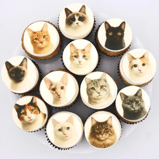 Cat Cupcake Toppers (12)