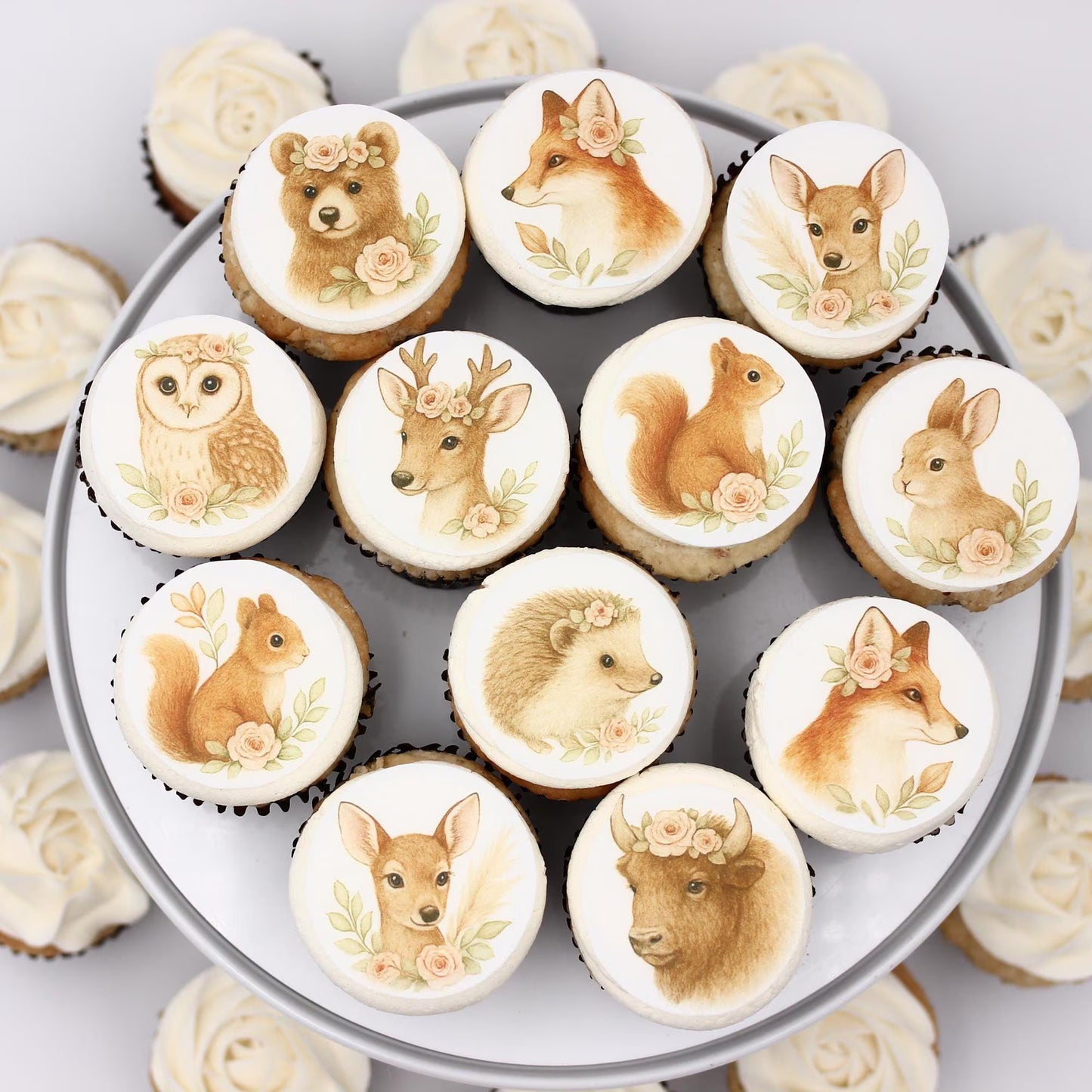 Boho Woodland Animals Cupcake Toppers (12)