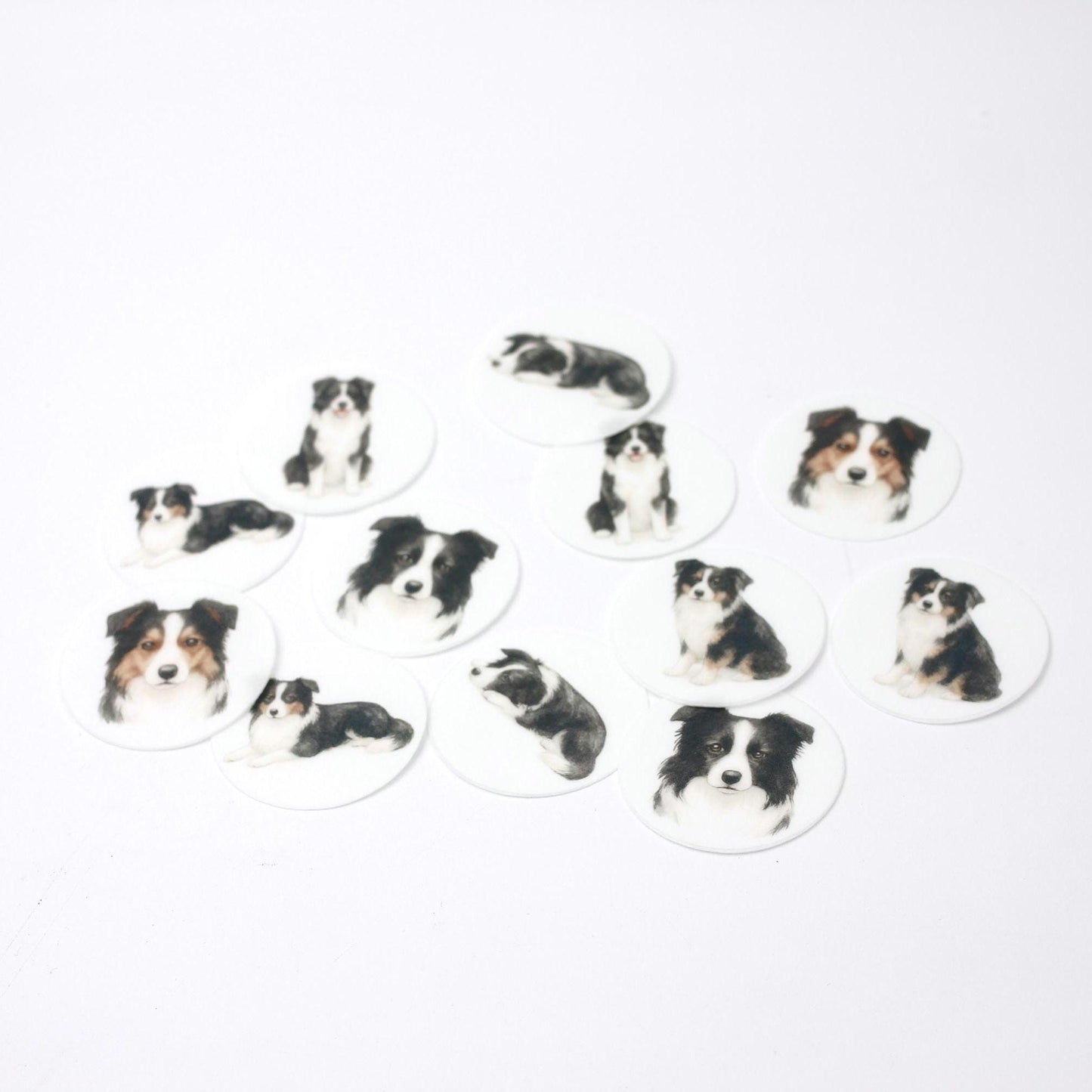 Border Collie- Cupcakes, Cookies Toppers- Edible paper