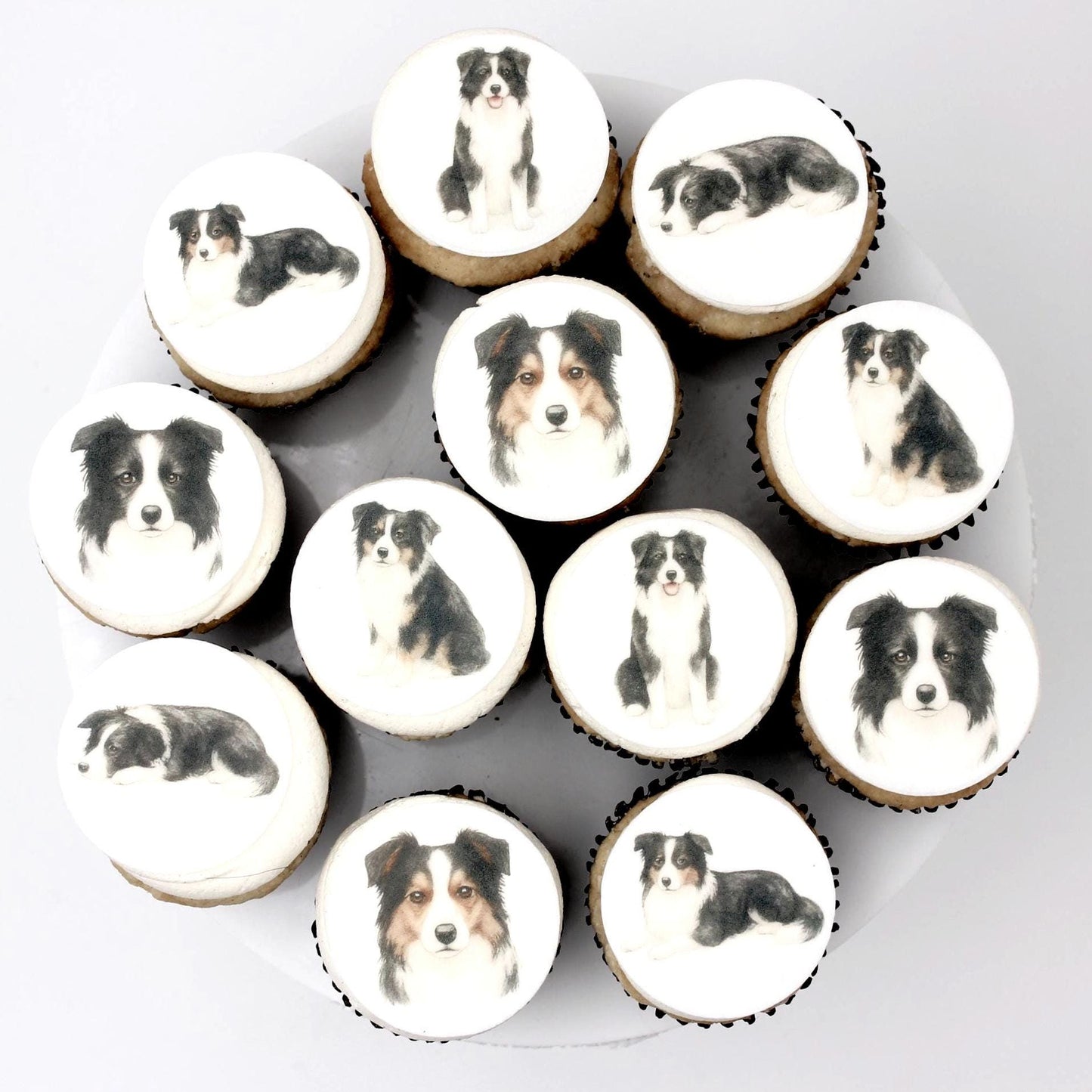 Border Collie- Cupcakes, Cookies Toppers- Edible paper