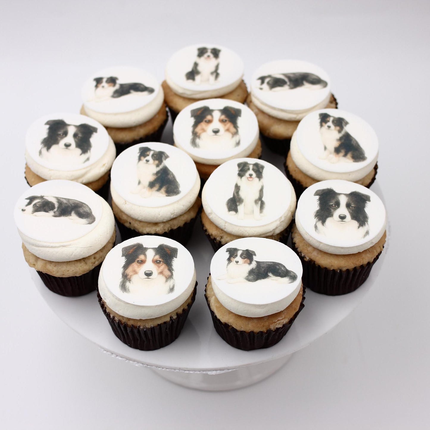 Border Collie- Cupcakes, Cookies Toppers- Edible paper