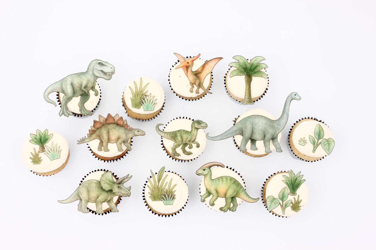 Dinosaur Edible Cupcake/ Cookie/Drink Toppers, Edible Wafer Paper
