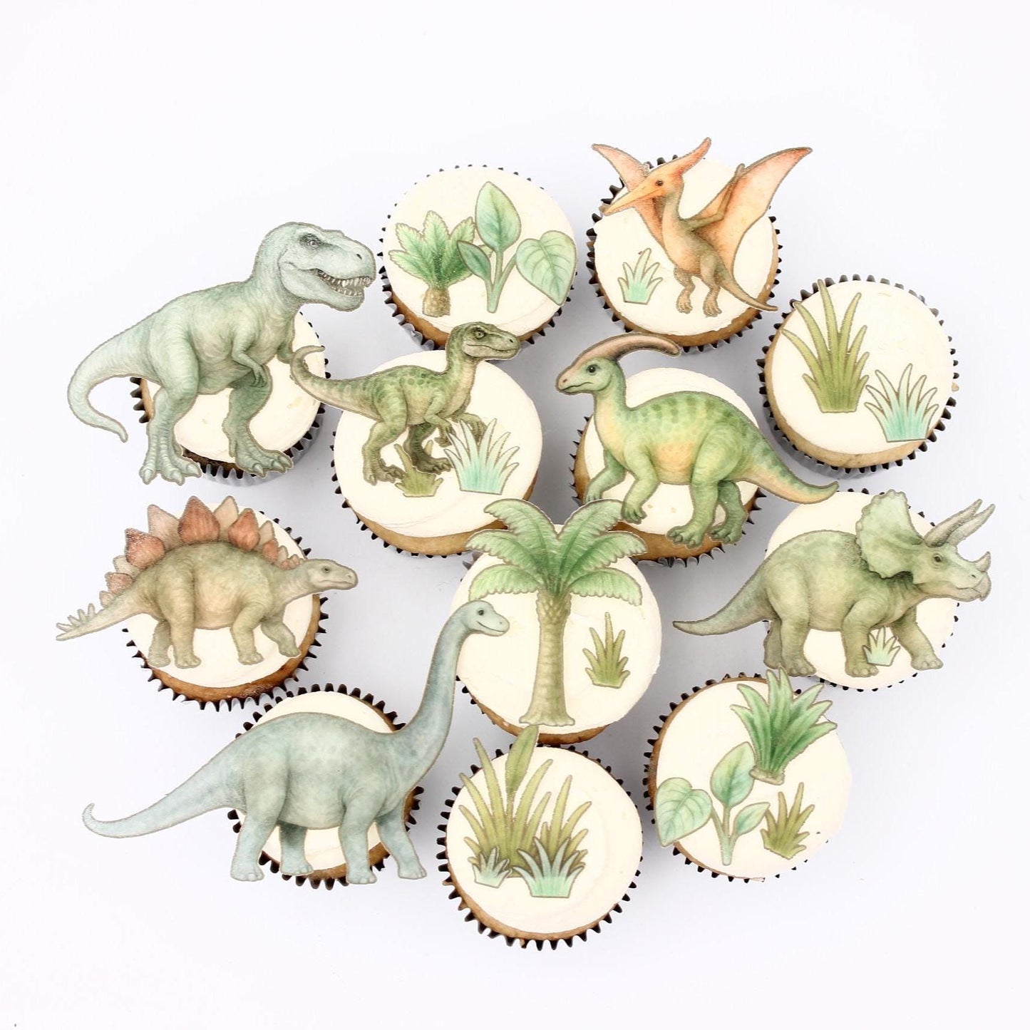 Dinosaur Edible Cupcake/ Cookie/Drink Toppers, Edible Wafer Paper
