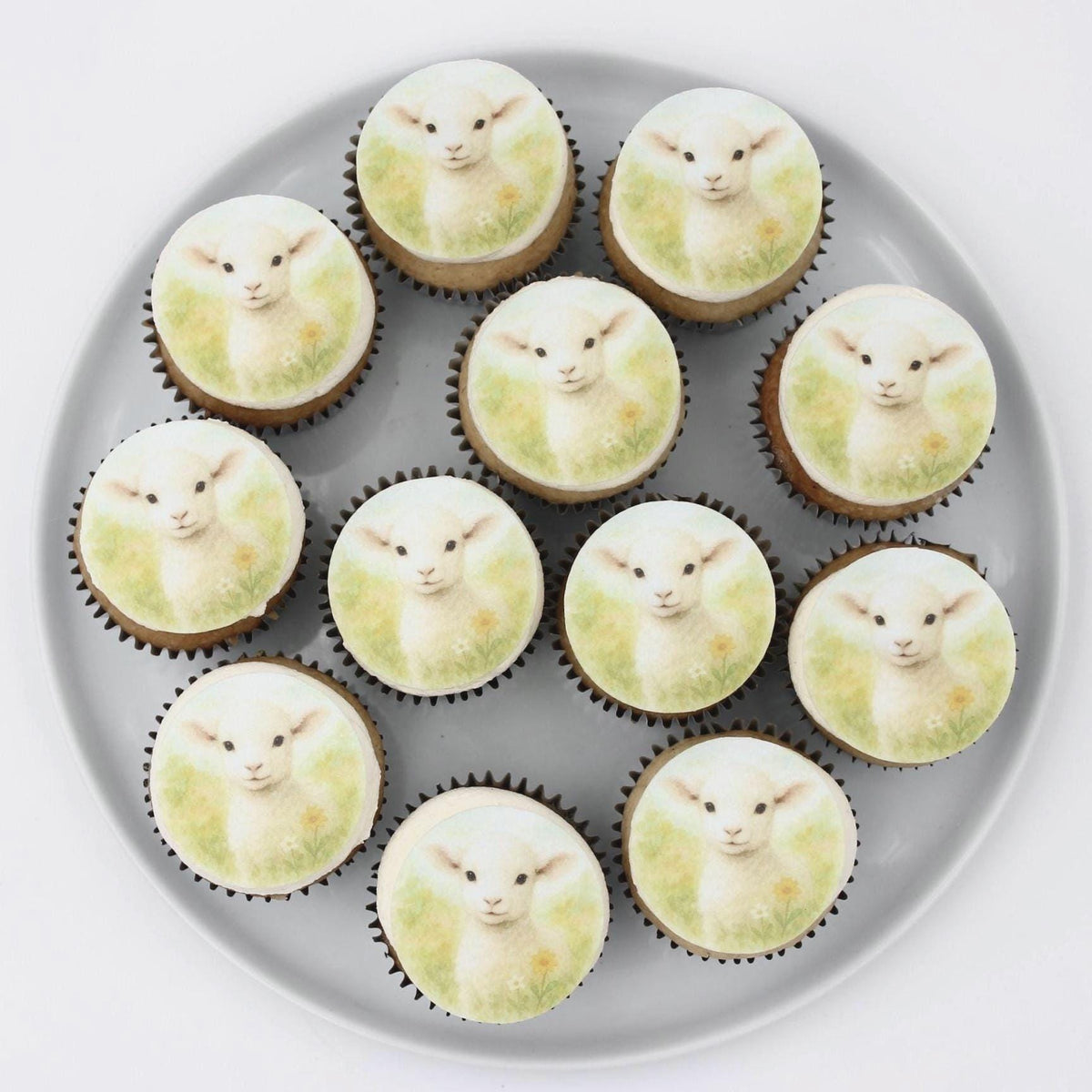 Baby Lamb (12pc) Topper Set