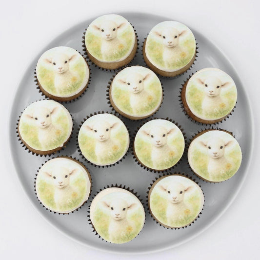 Baby Lamb (12pc) Topper Set