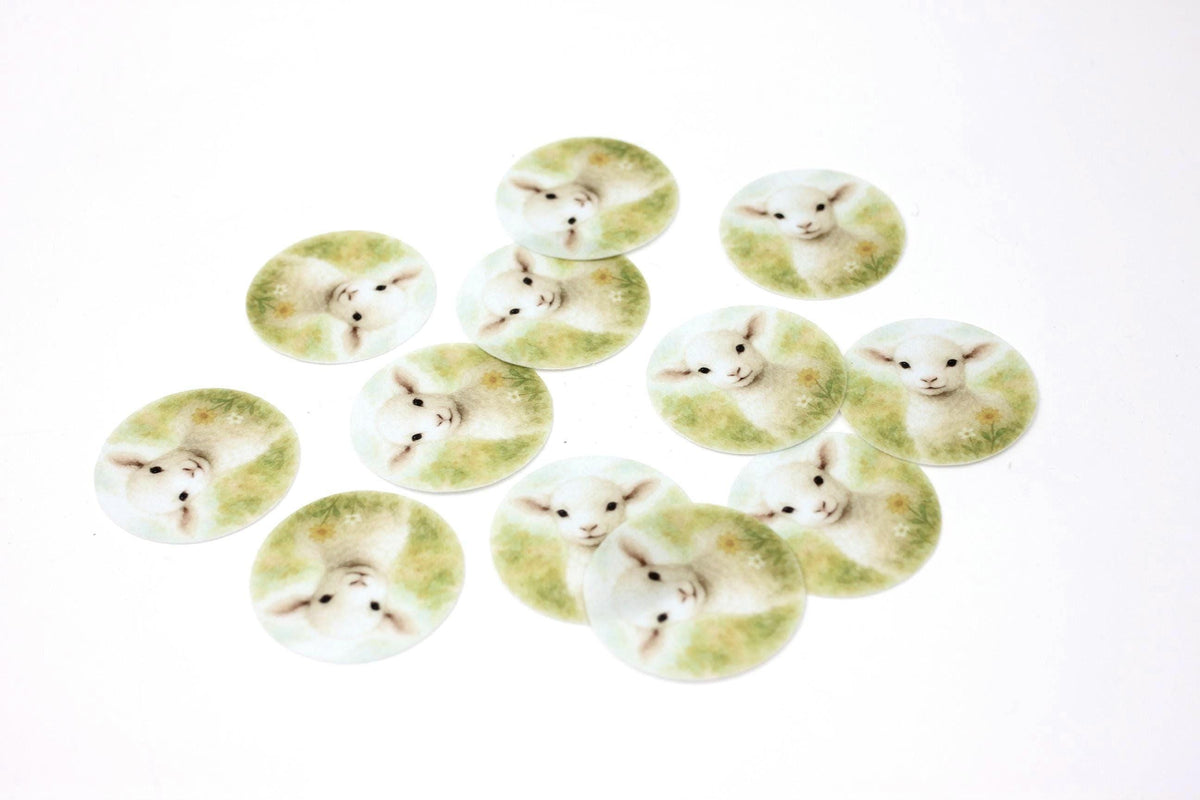 Baby Lamb (12pc) Topper Set