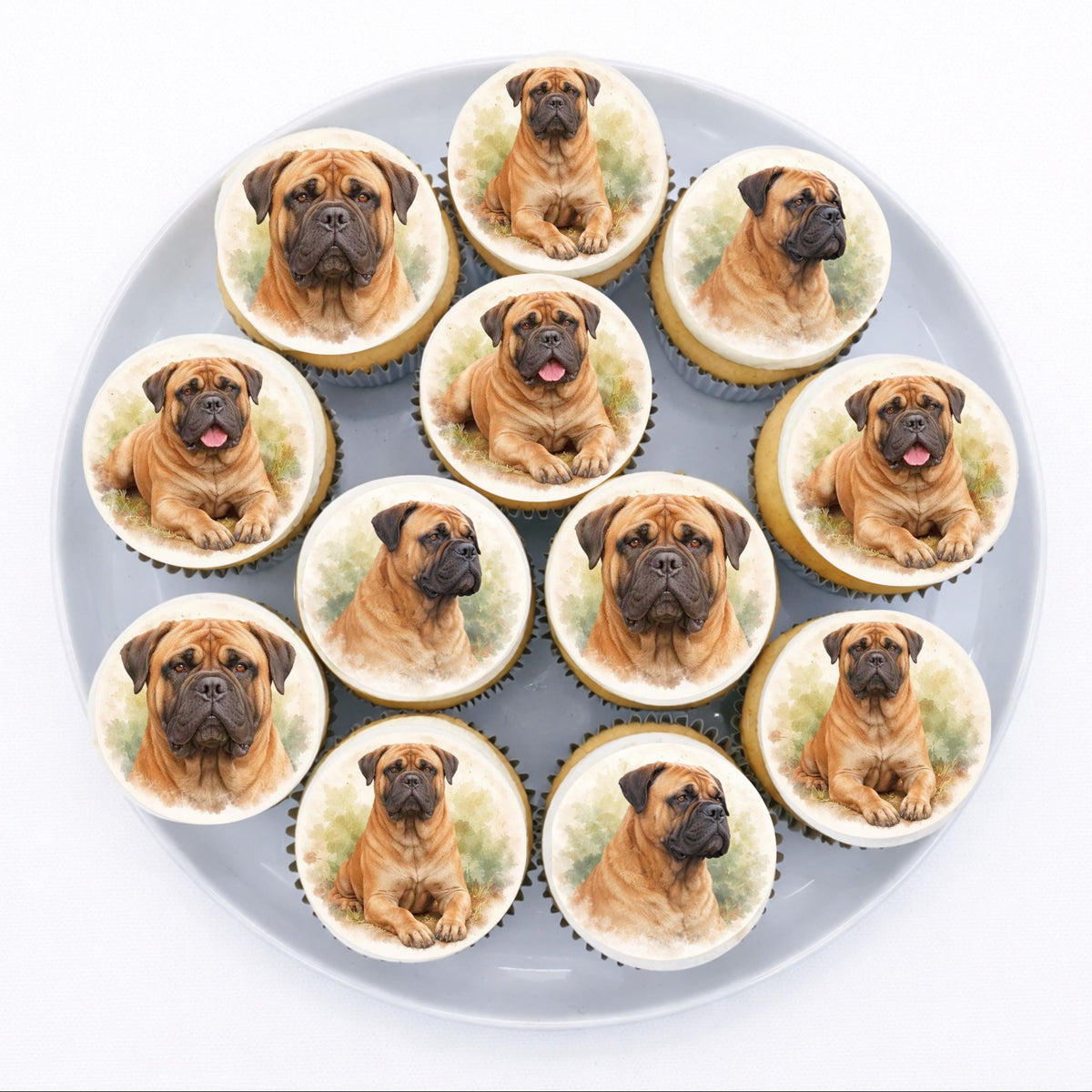 Bullmastiff Edible Cupcake Toppers