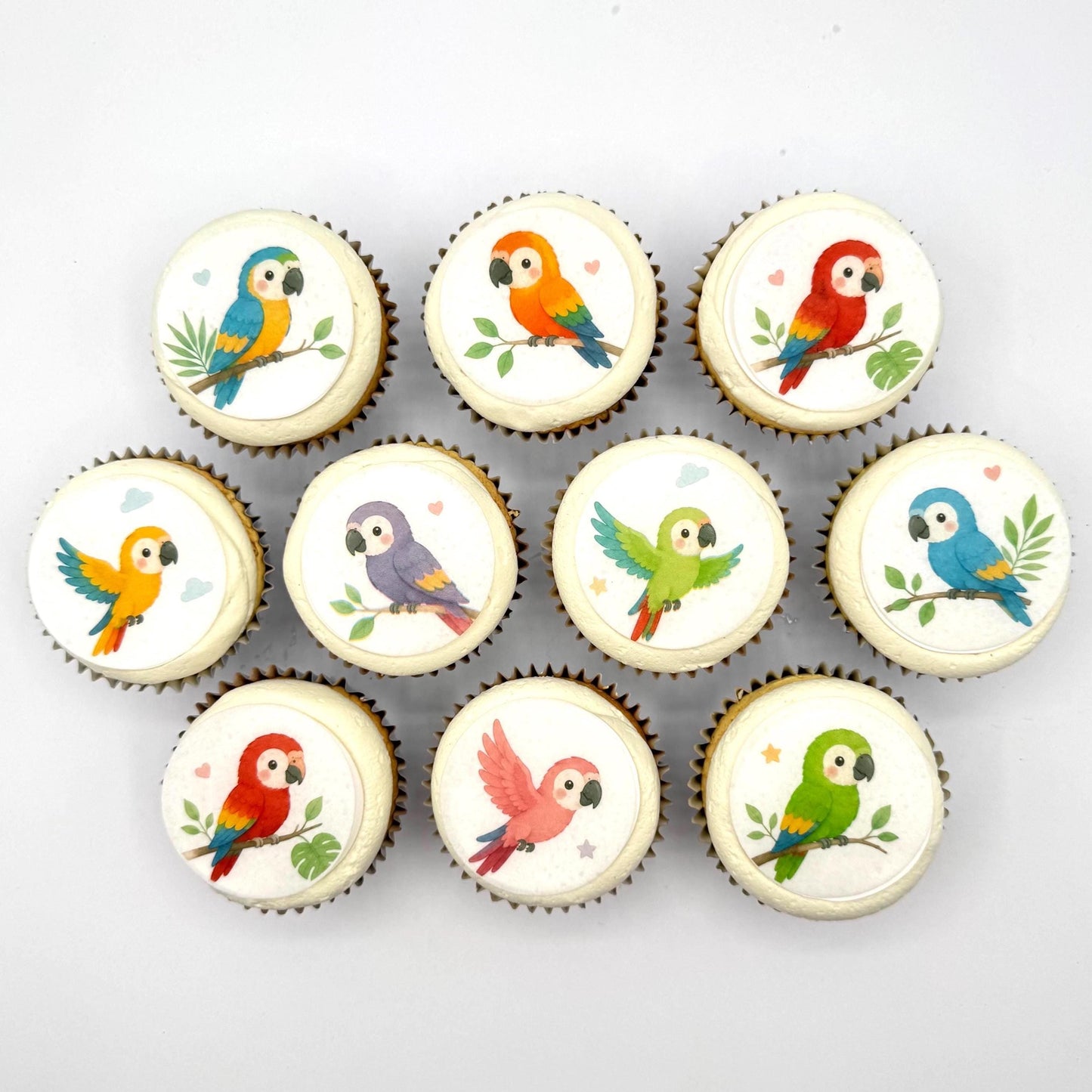 Cute Rainbow Parrot Edible Cupcake/ Cookie/Drink Toppers, Baby Tropical Bird Edible Wafer Paper (10 pc)