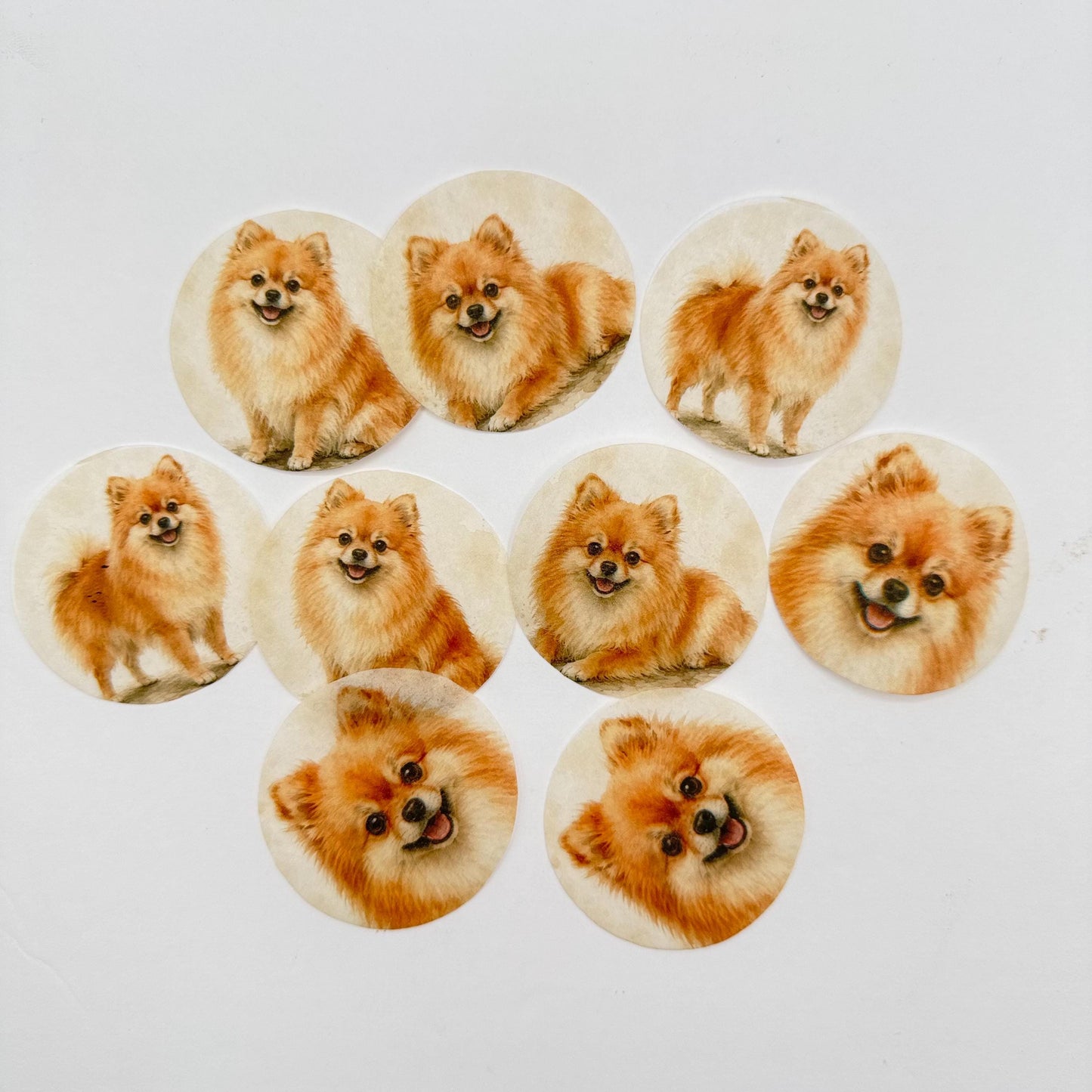 Pomeranian Dog Cupcake Toppers, Edible Paper Dog Cupcake Toppers
