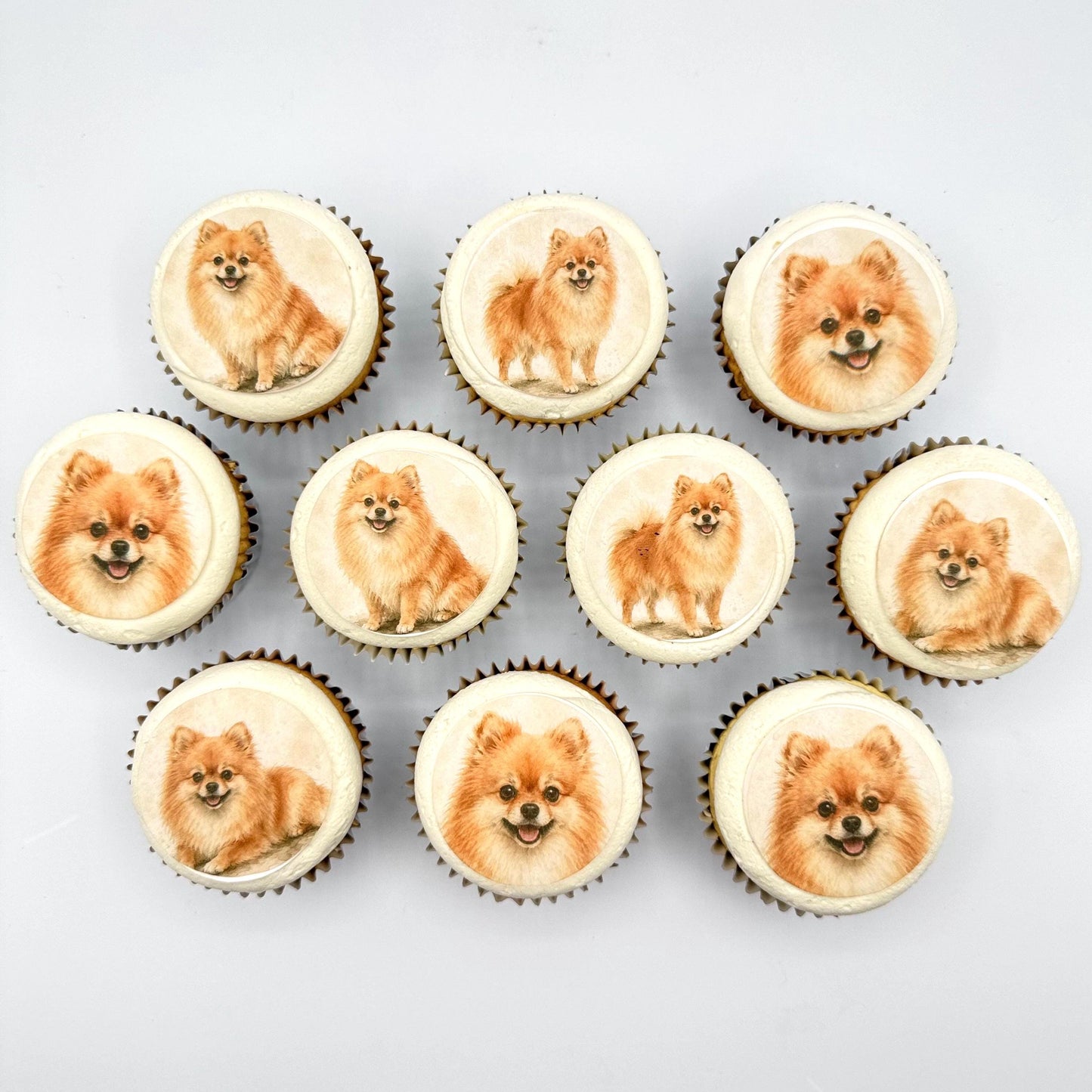 Pomeranian Dog Cupcake Toppers, Edible Paper Dog Cupcake Toppers
