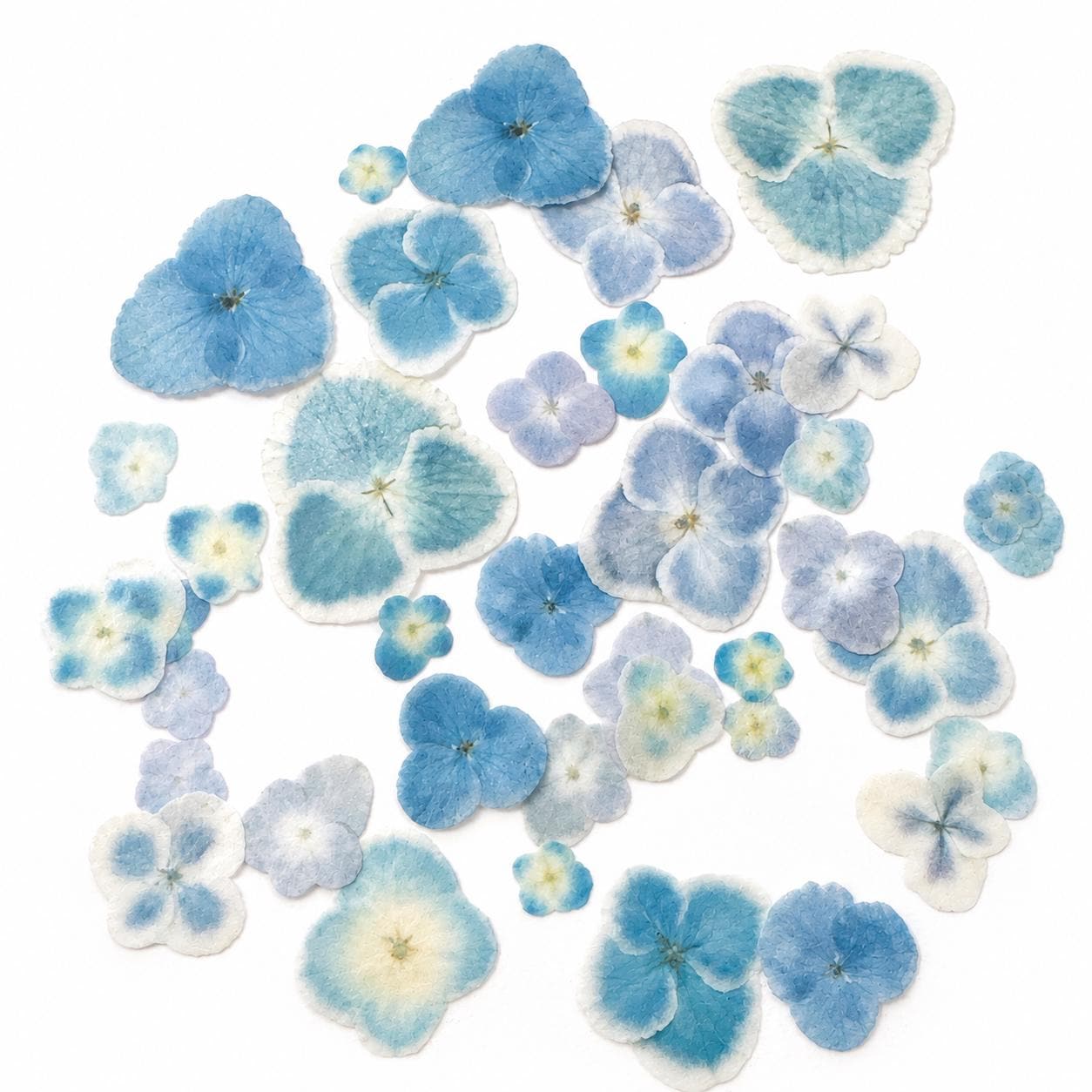 Pressed Hydrangea  (40pc) Toppers Edible Cupcake/ Cookie/Drink Toppers, Edible Wafer Paper